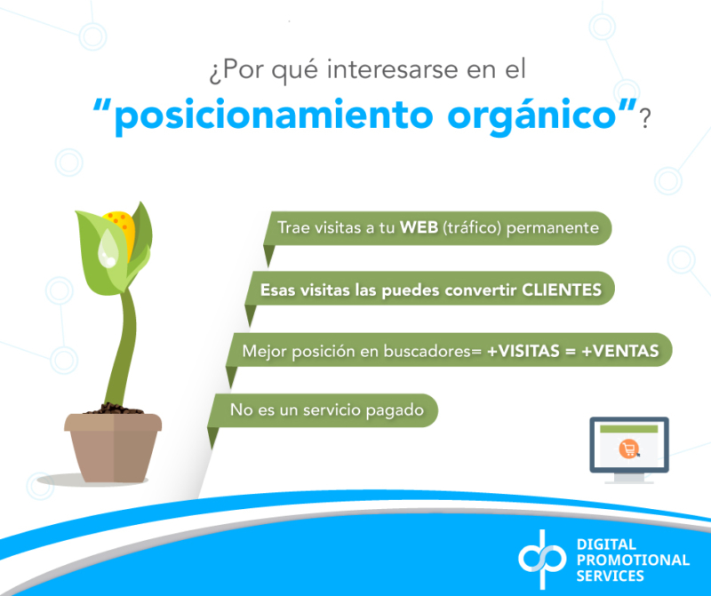 Posicionamiento Orgánico Dps Agency 